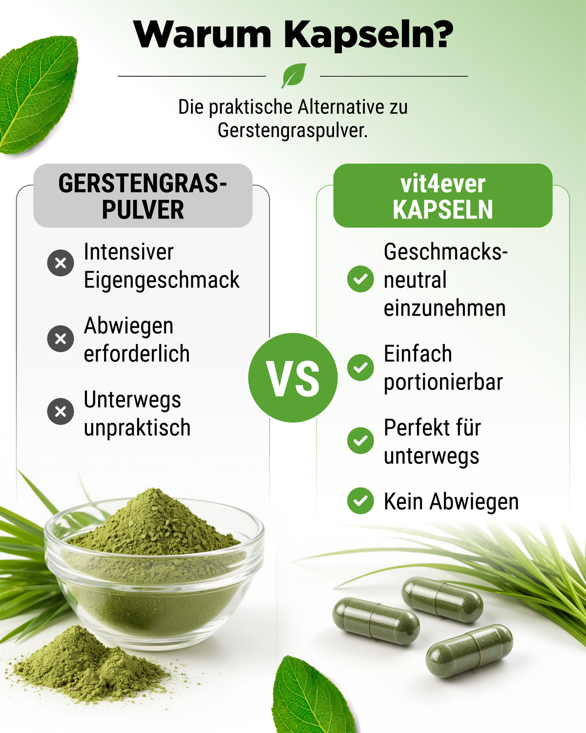 Herbe d'orge Bio - 365 gélules véganes