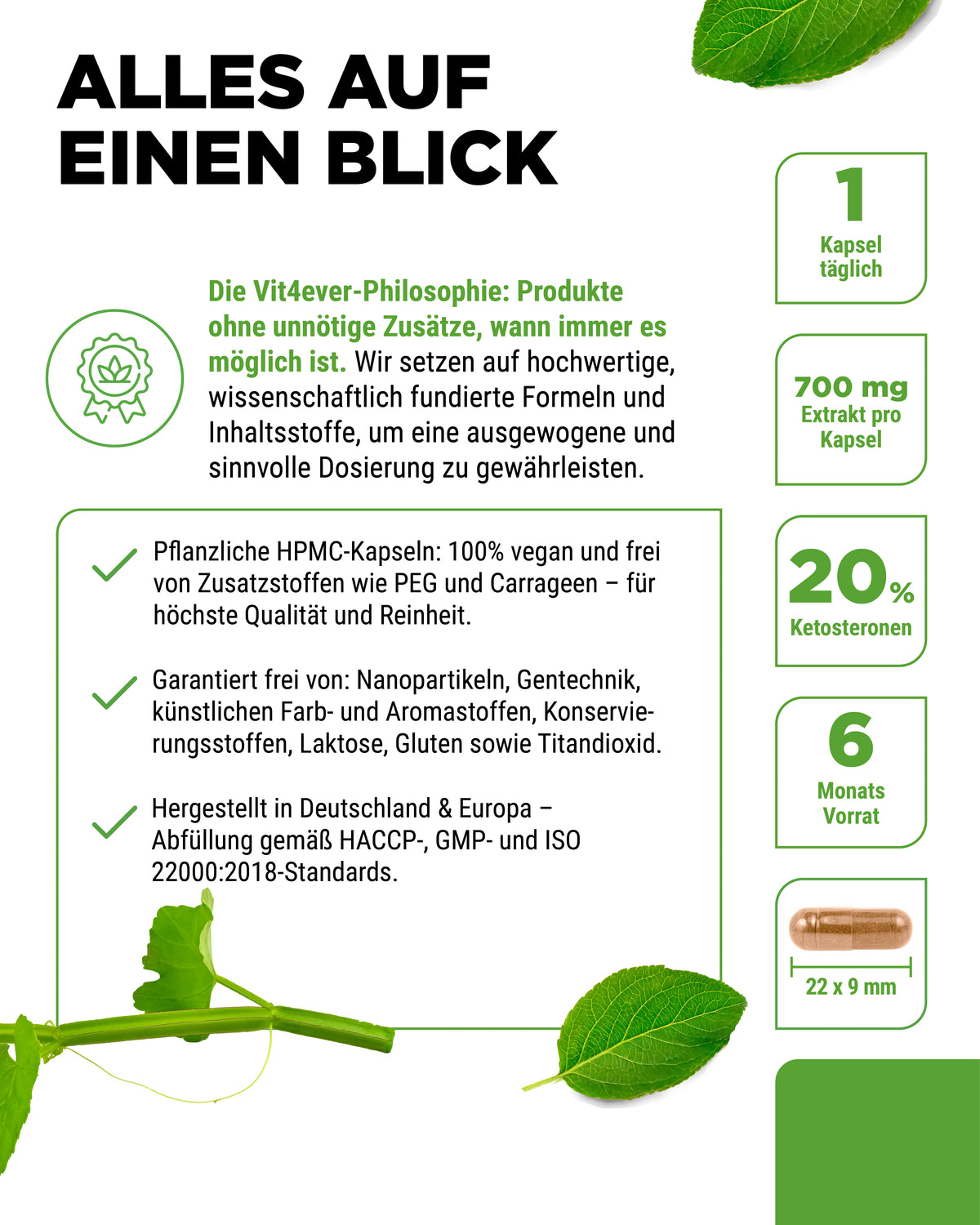 Cissus Quadrangularis - 725 mg estratto - 40% chetosteroni