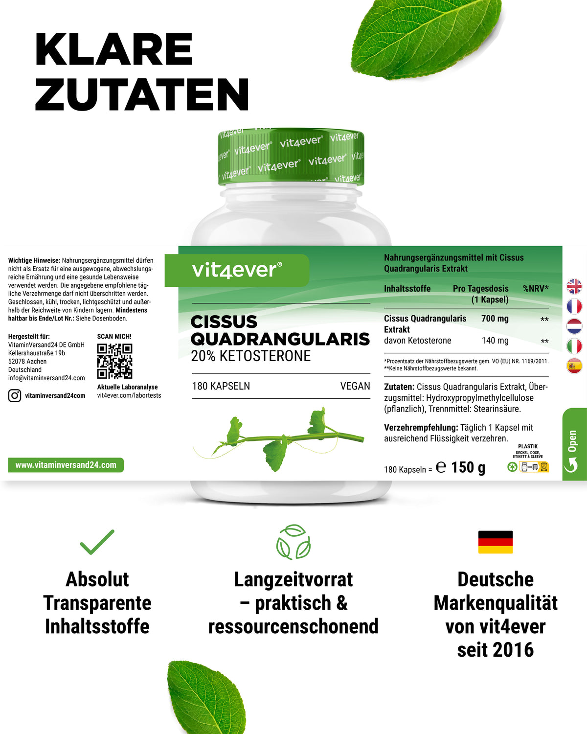 Cissus Quadrangularis - 725 mg estratto - 40% chetosteroni