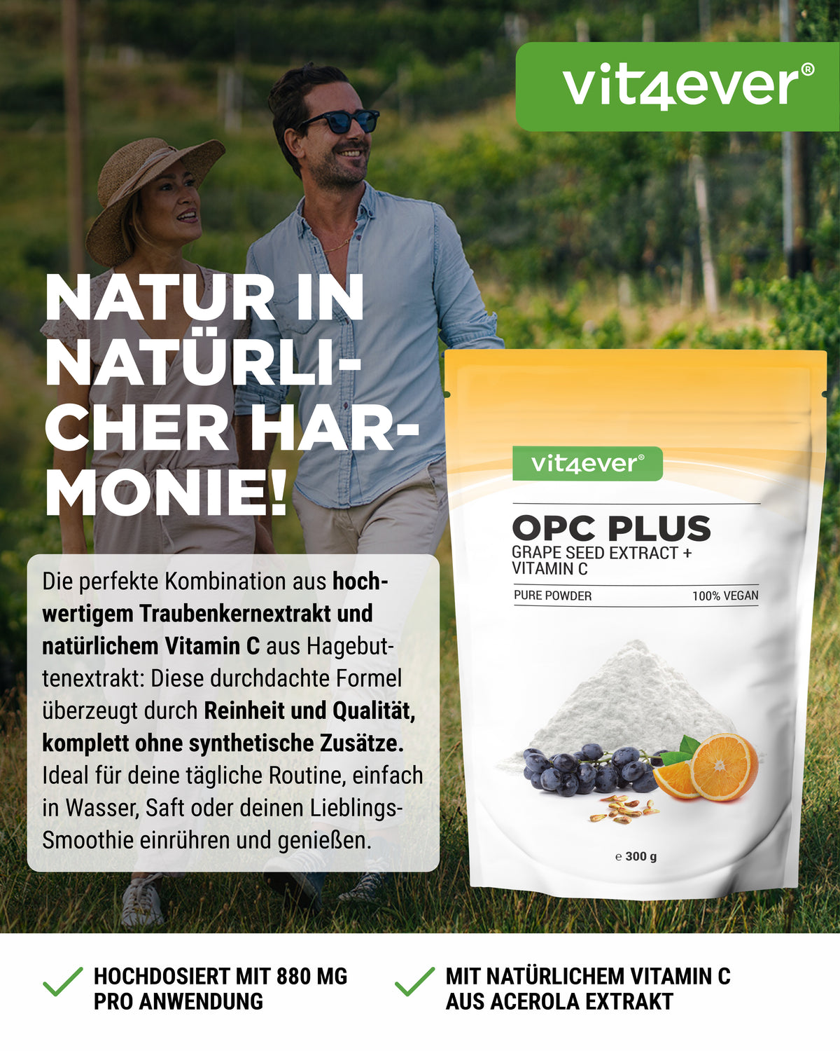 OPC estratto di semi d'uva + Vitamina C in polvere