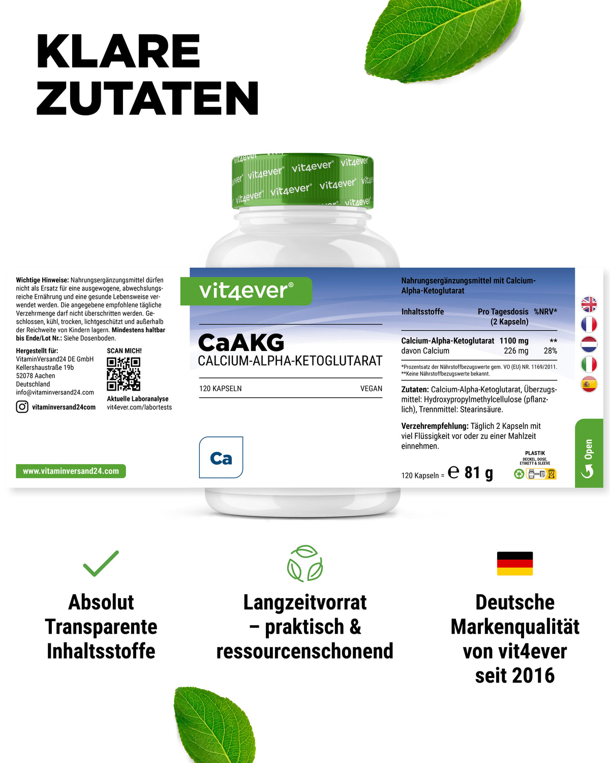 CaAKG - Alpha-cétoglutarate de calcium