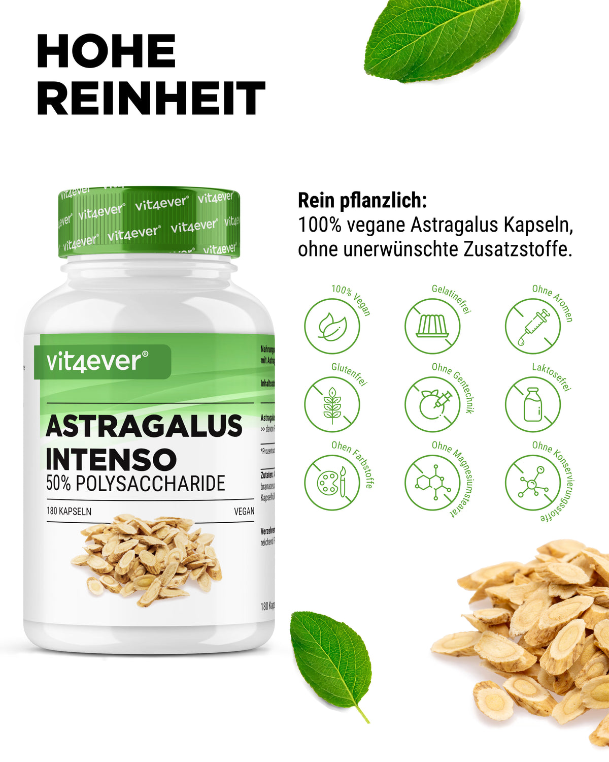 Astragale - 50 % polysaccharides