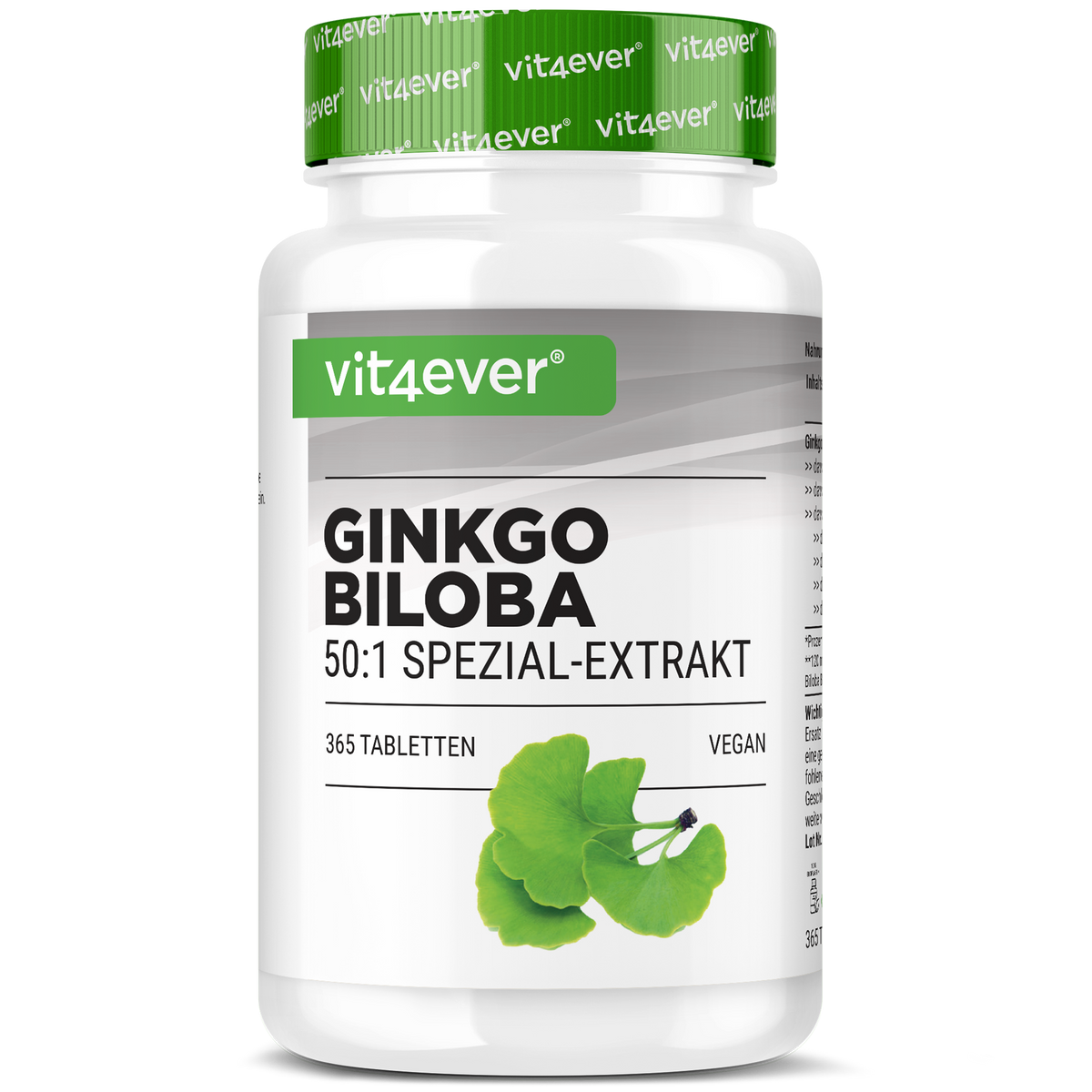 Ginkgo Biloba Extrakt