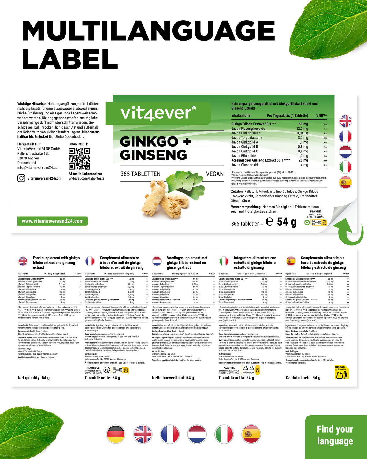 Ginkgo & Ginseng Extrakt
