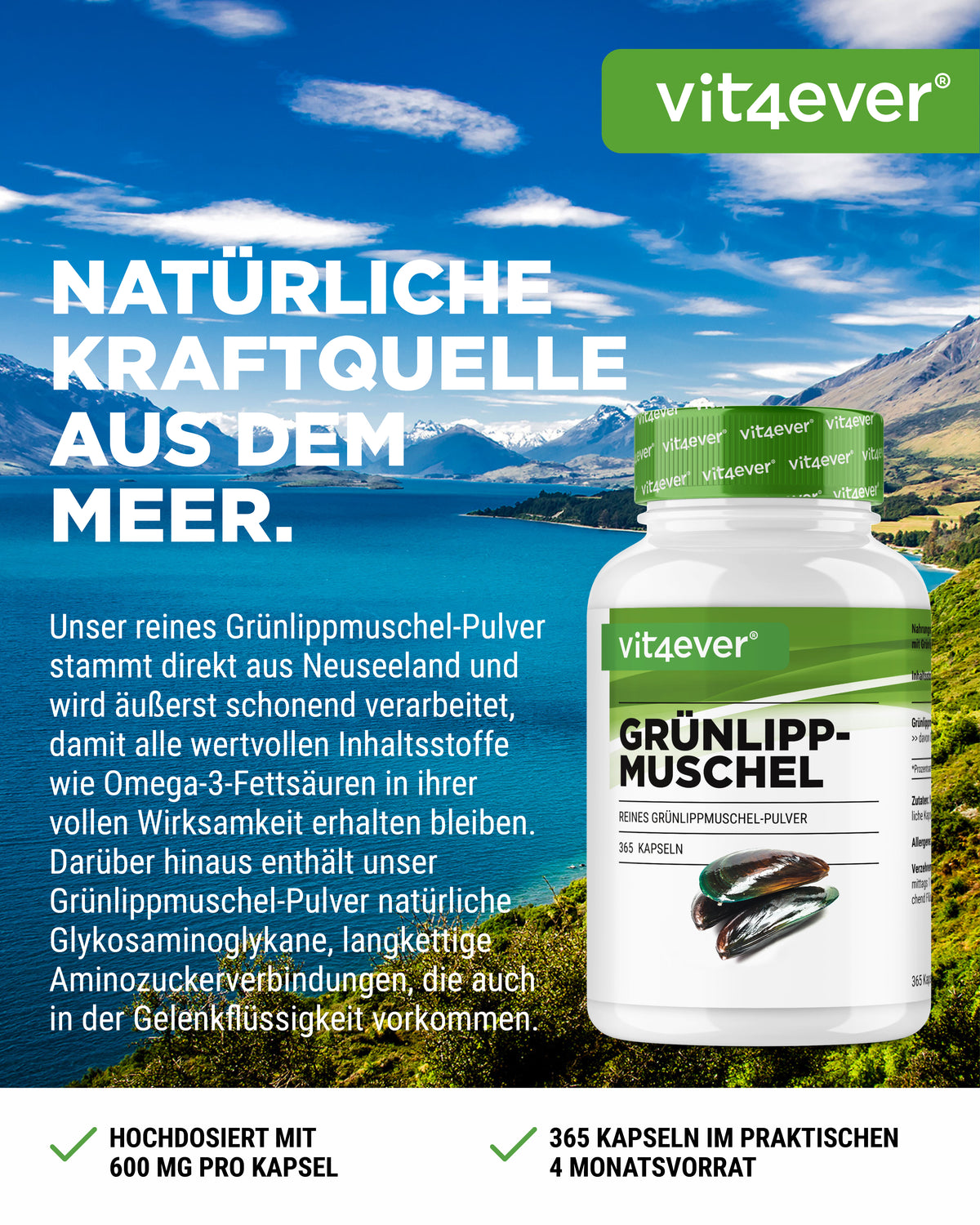 Green-lipped Mussel - 600 mg