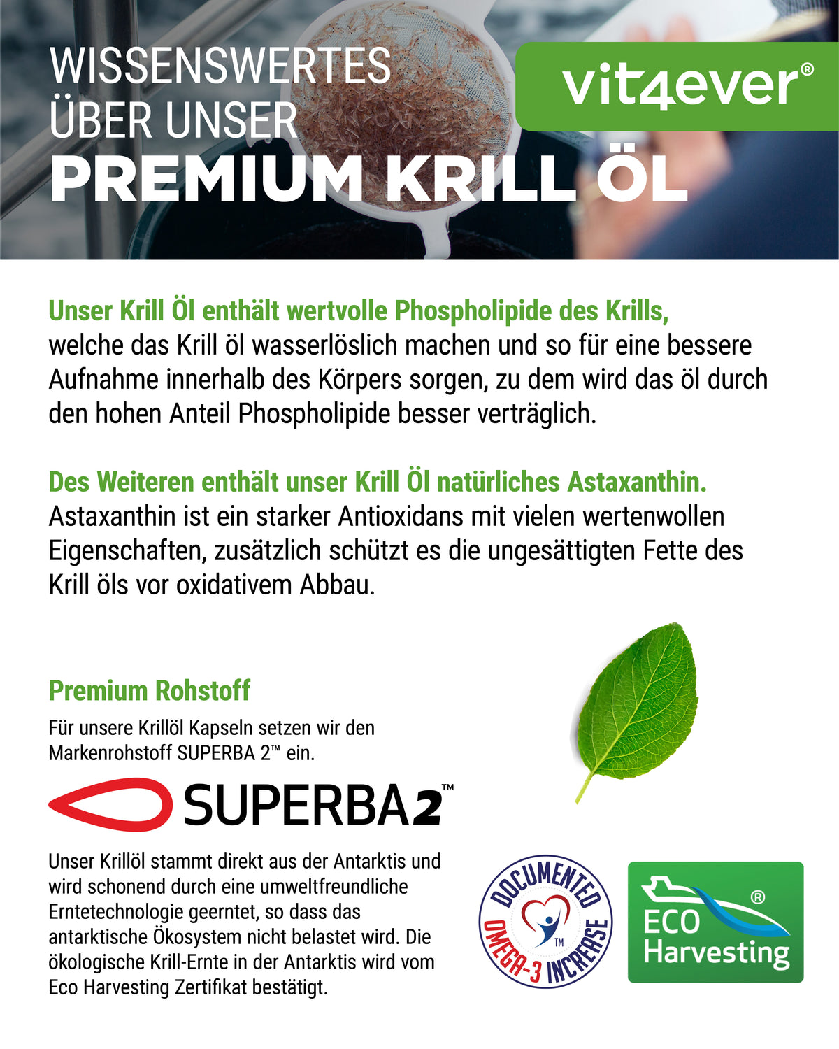 Krill Öl - SUPERBA2