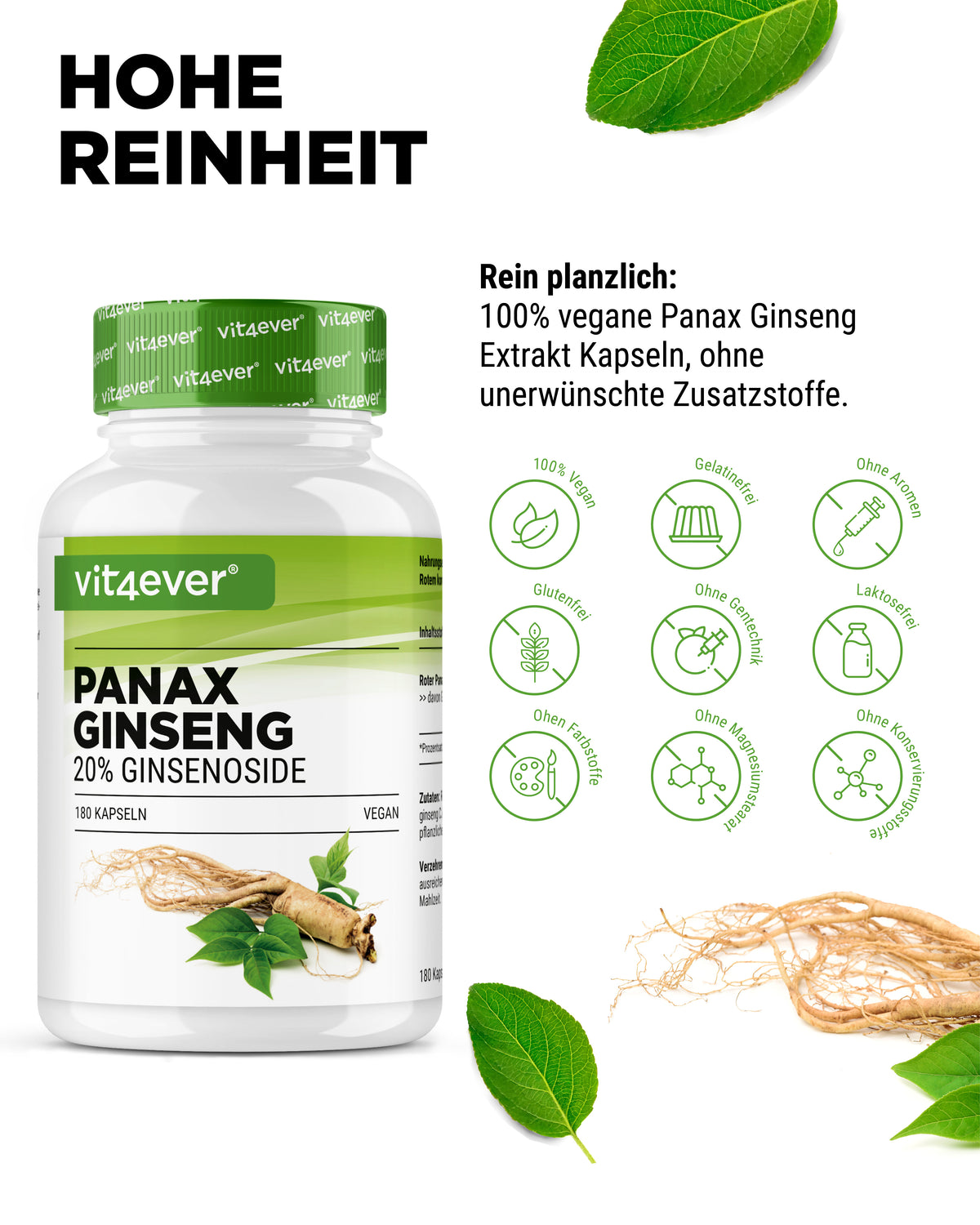 Rode Panax Ginseng
