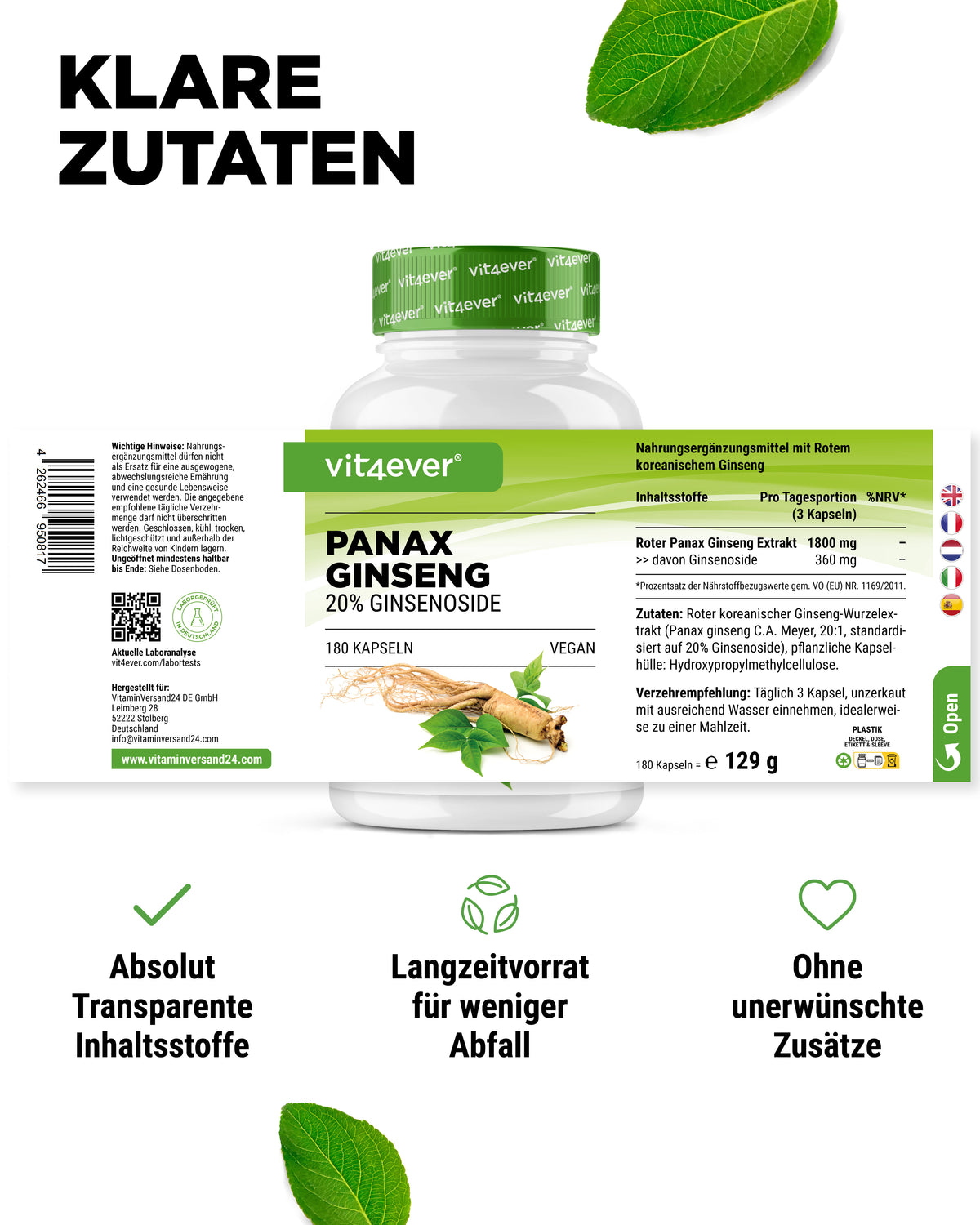 Rode Panax Ginseng