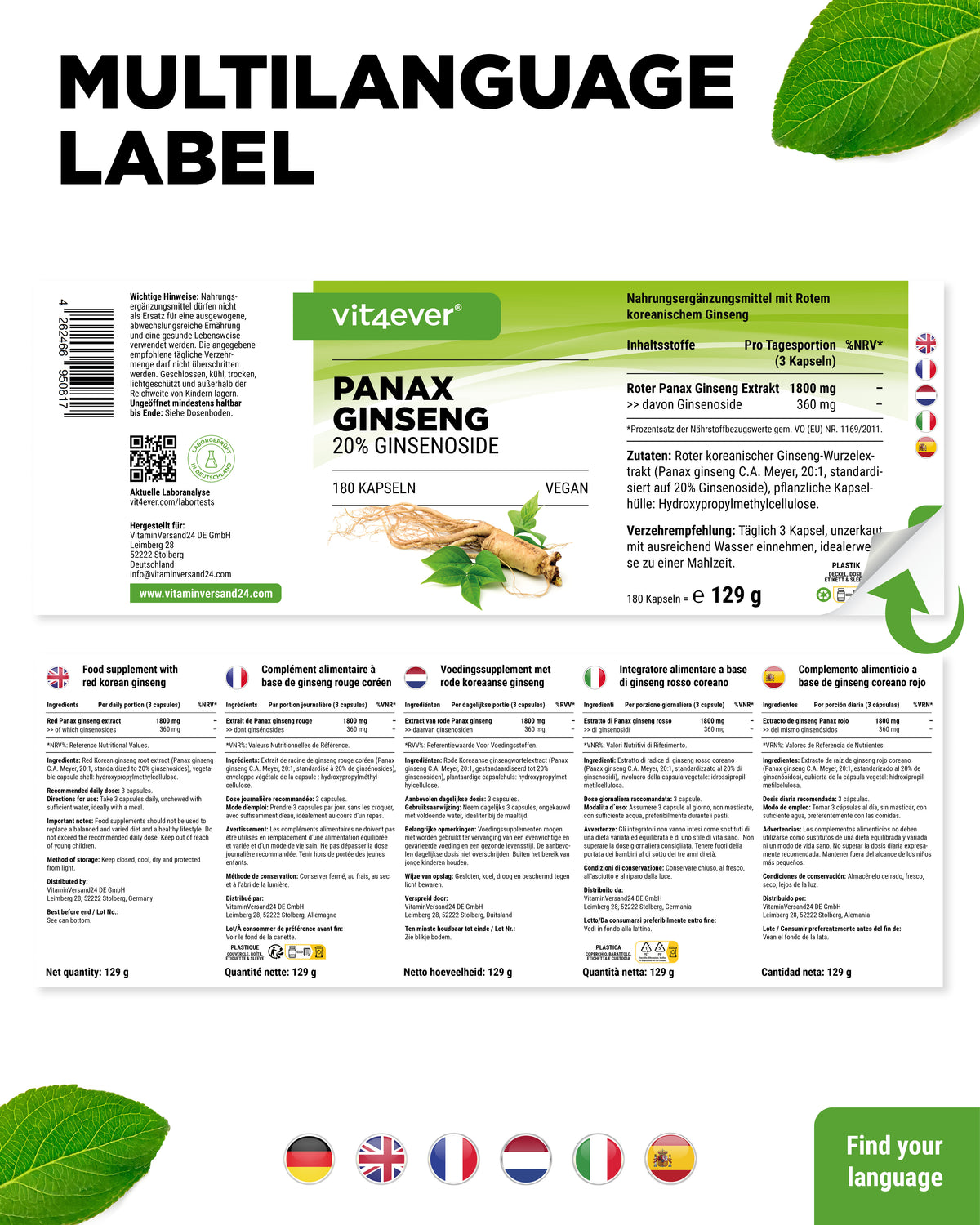 Rode Panax Ginseng