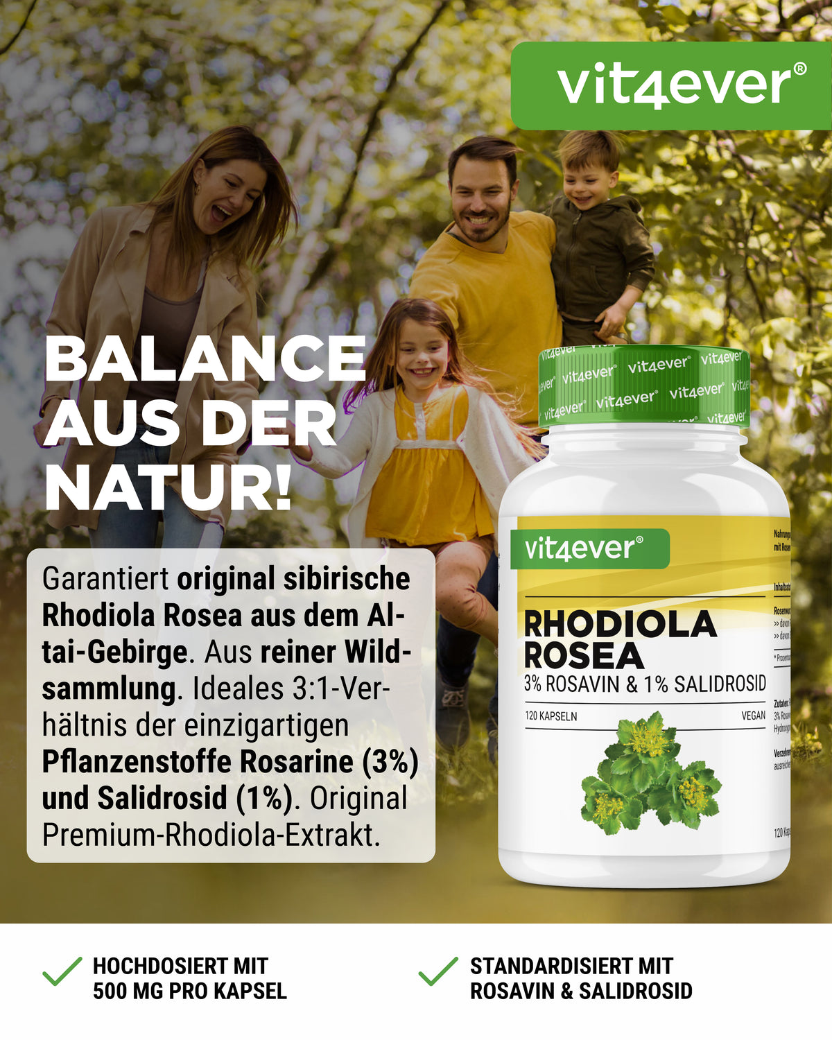 Rhodiola Rosea (Rhodiola Rosea Extract)
