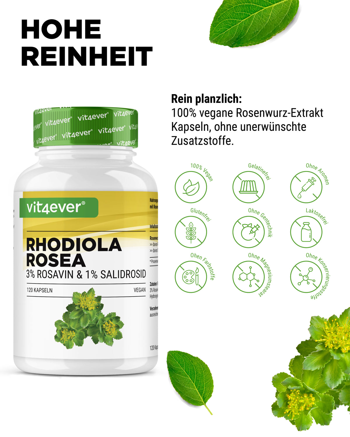 Rhodiola Rosea (Rhodiola Rosea Extract)