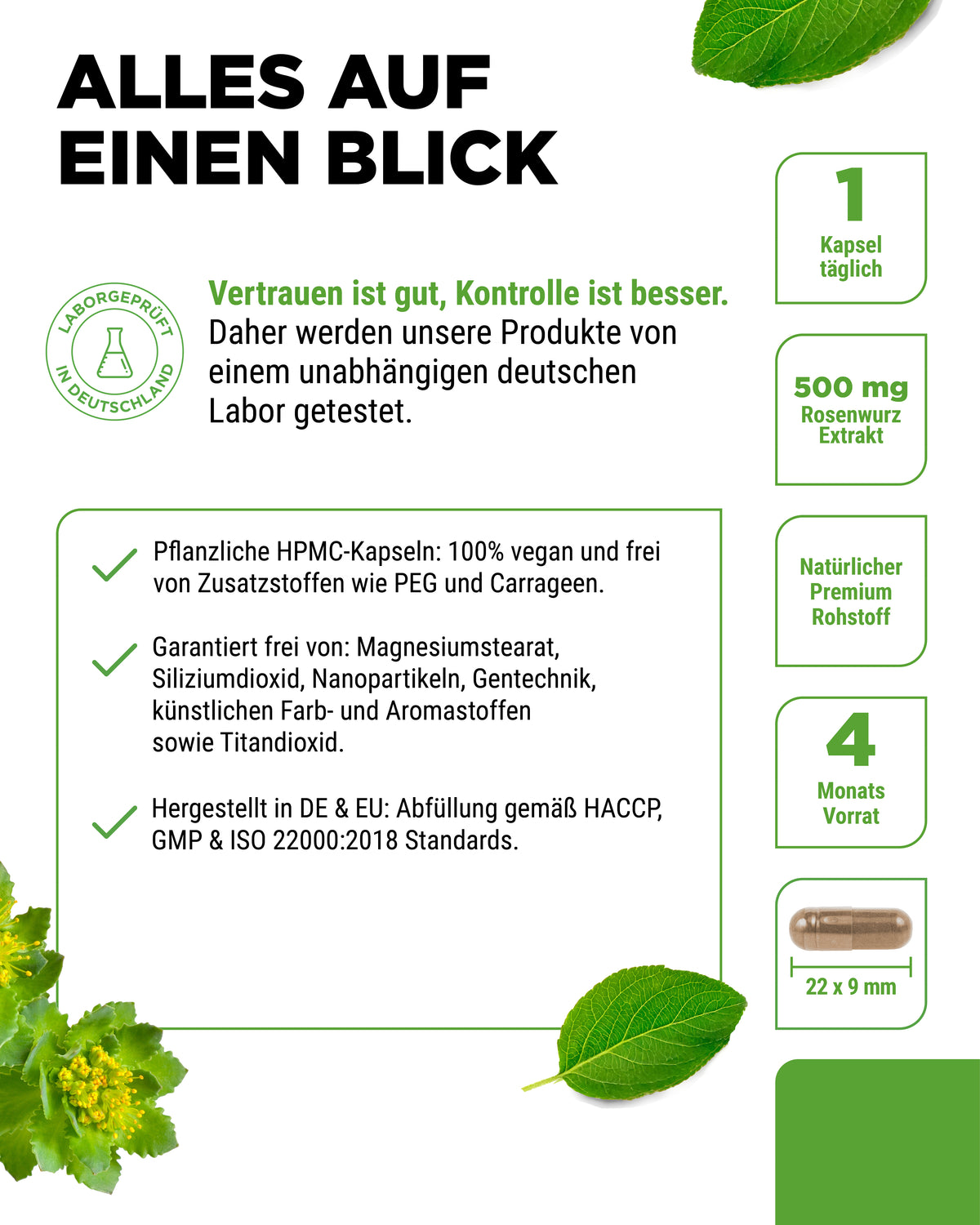 Rhodiola Rosea (Rhodiola Rosea Extract)