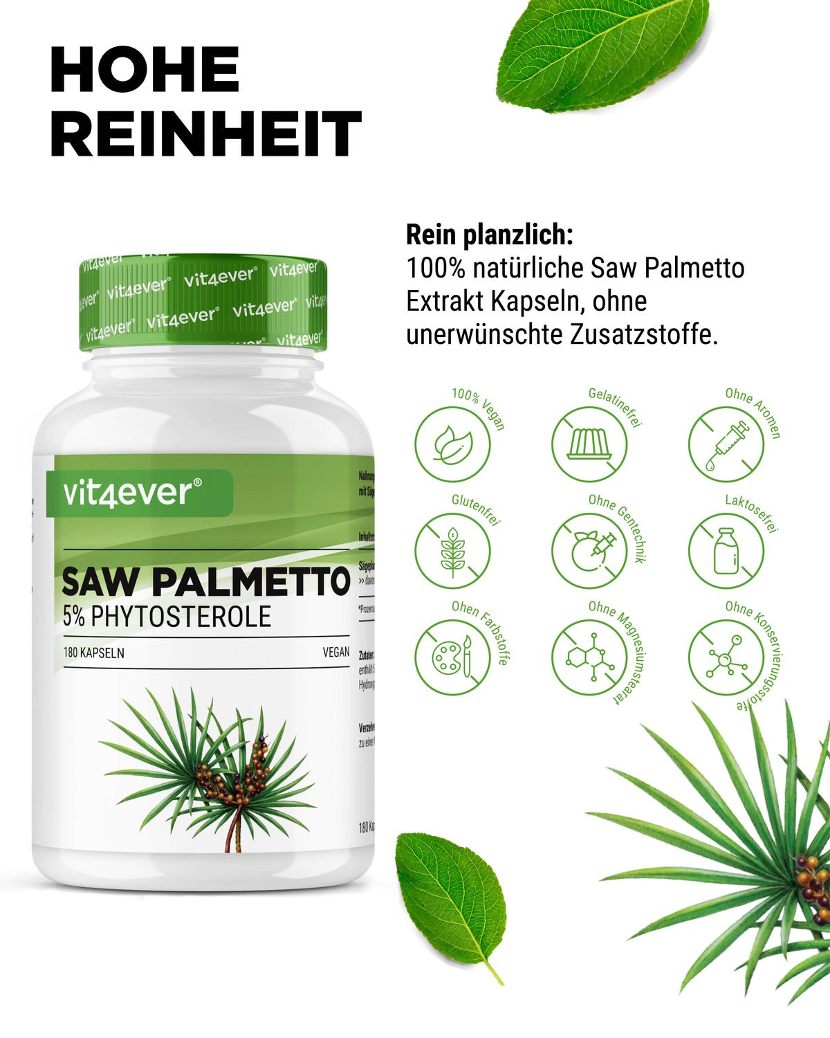 Saw Palmetto Extract - 500 mg