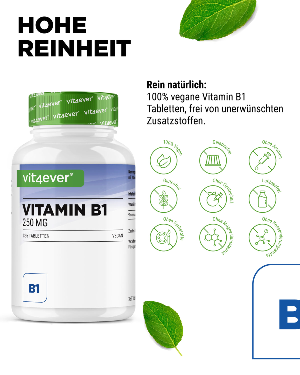 Vitamine B1 - 250 mg