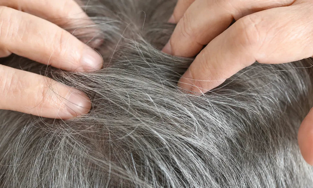 Wie kann man graue Haare verhindern?
