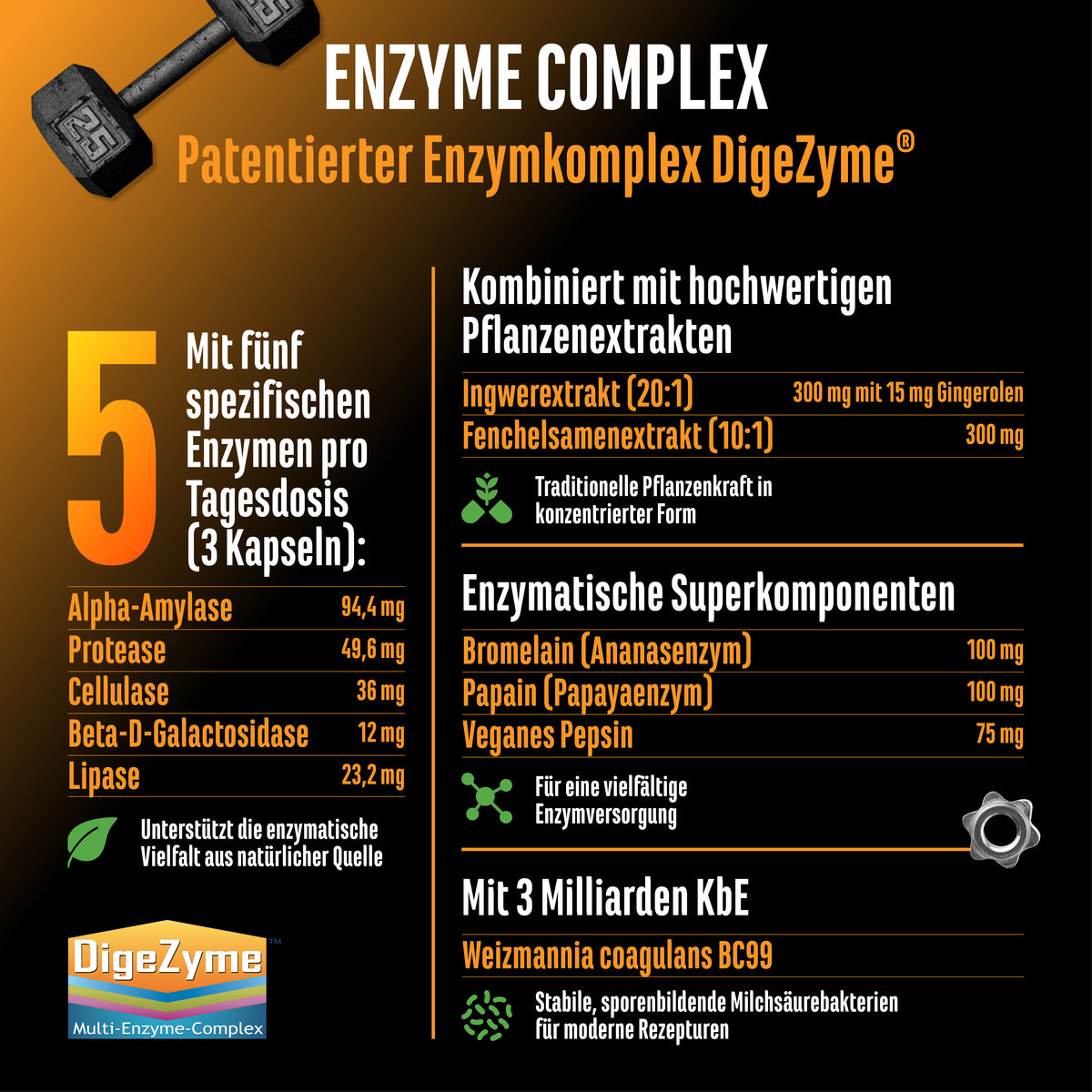 Enzym Komplex