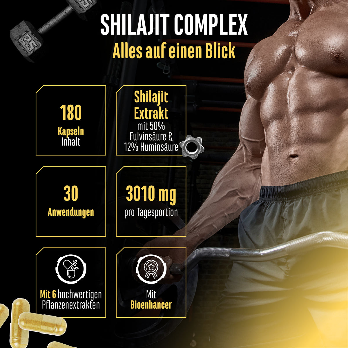 Complexe Shilajit