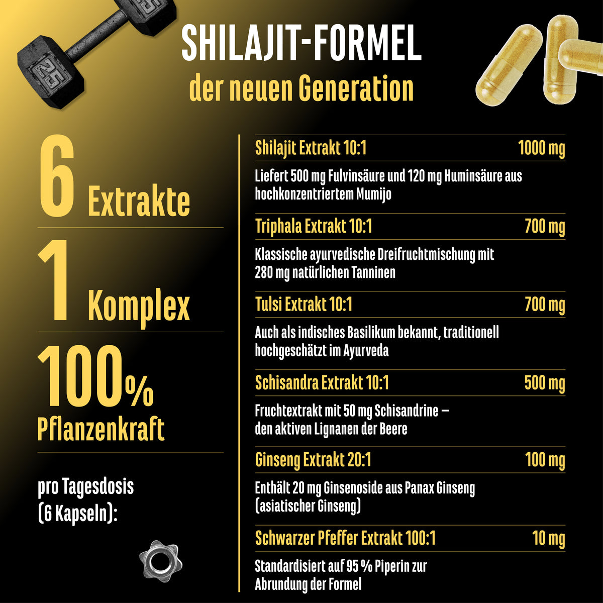 Complexe Shilajit