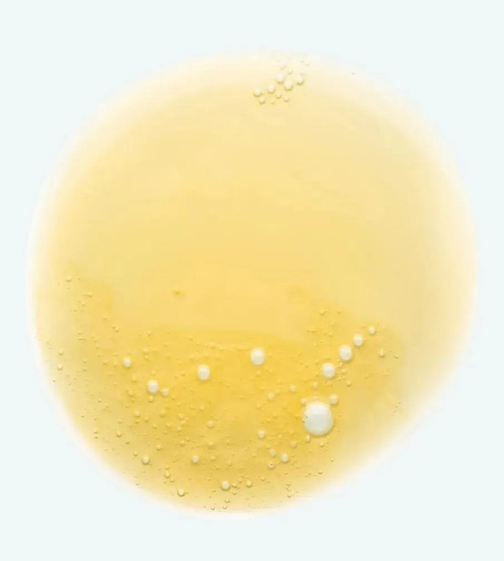Klorane Shampoo für trockenes Haar Mango (400 ml) - Hairgivers