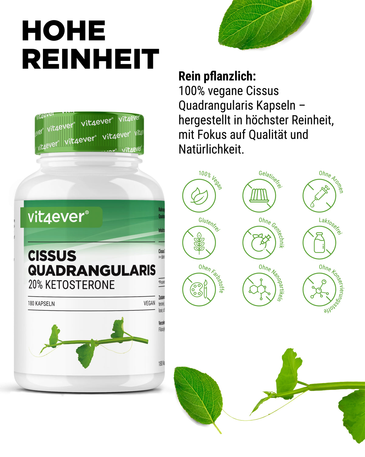 Cissus Quadrangularis - 725 mg estratto - 40% chetosteroni