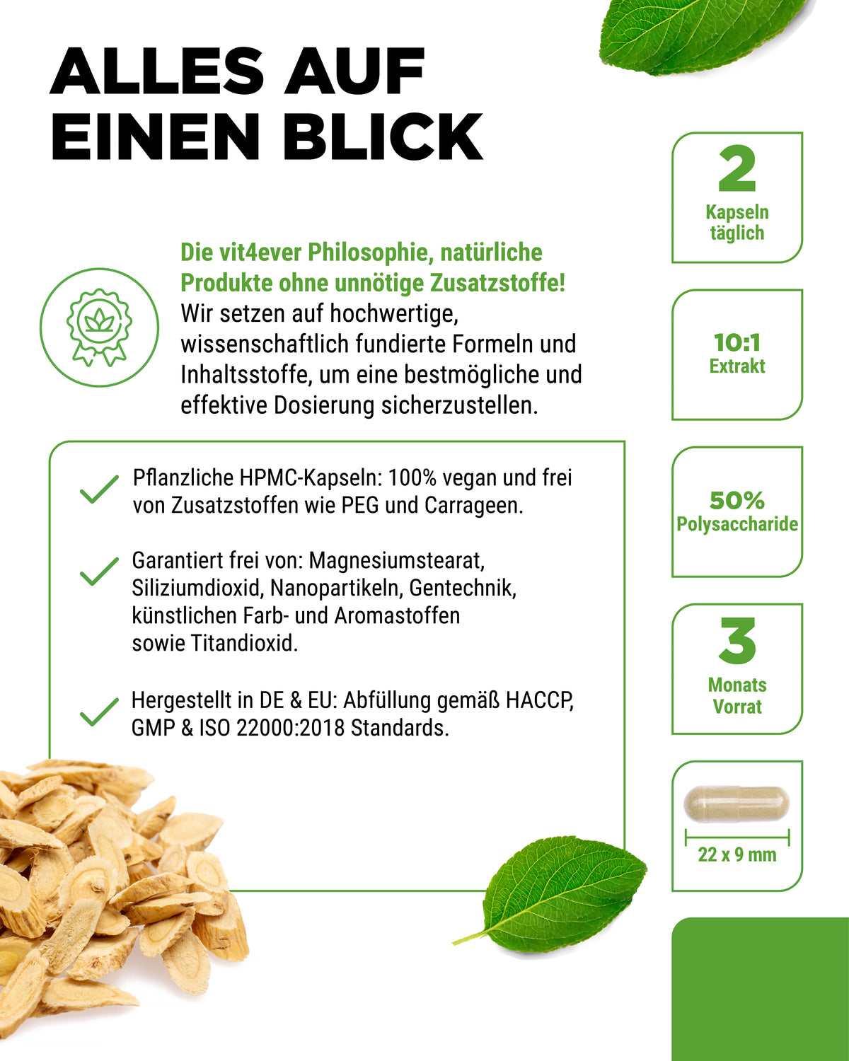 Astragale - 50 % polysaccharides