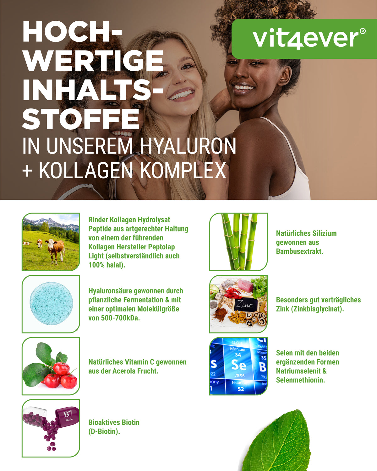 Hyaluronic Acid Collagen Complex - 240 Capsules
