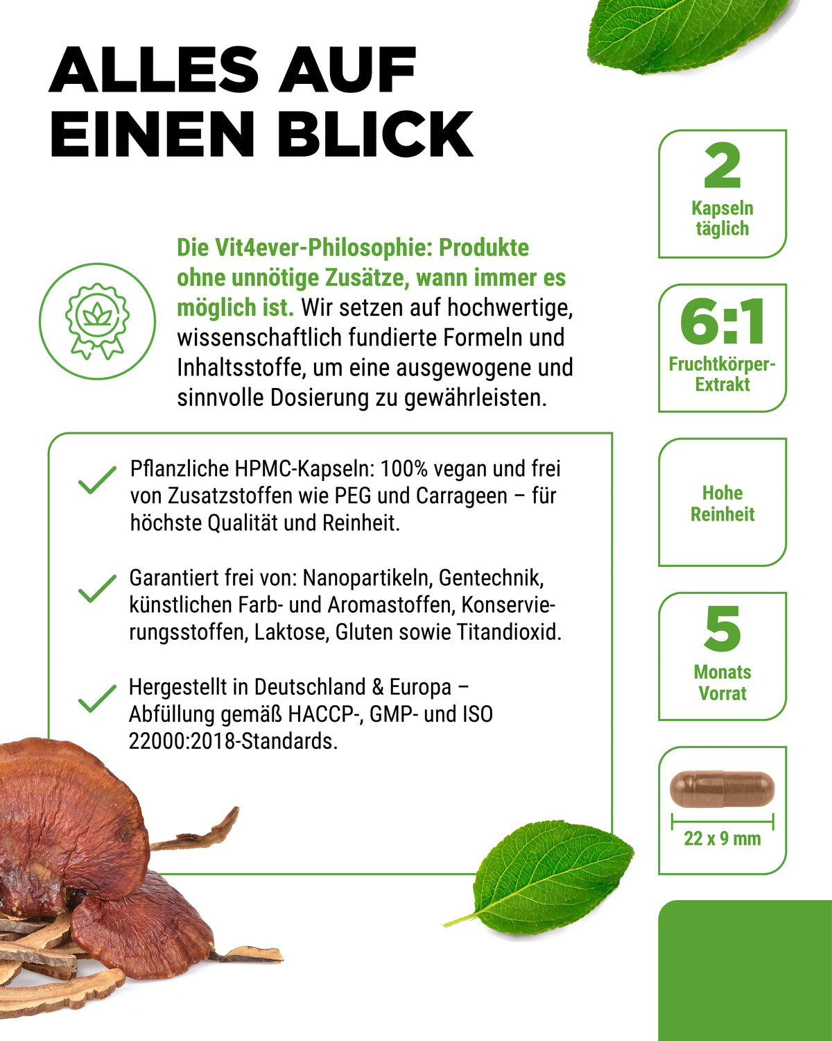 Reishi Intenso champignon - 650 mg extrait - 40% de polysaccharides bioactifs
