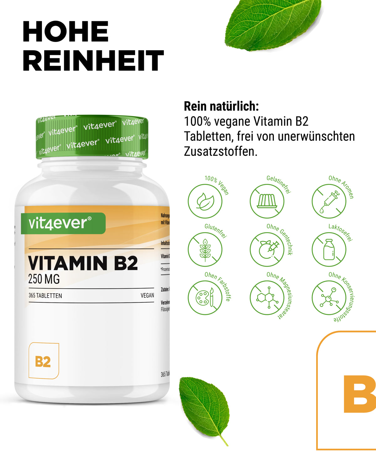 Vitamin B2 Riboflavin 250mg